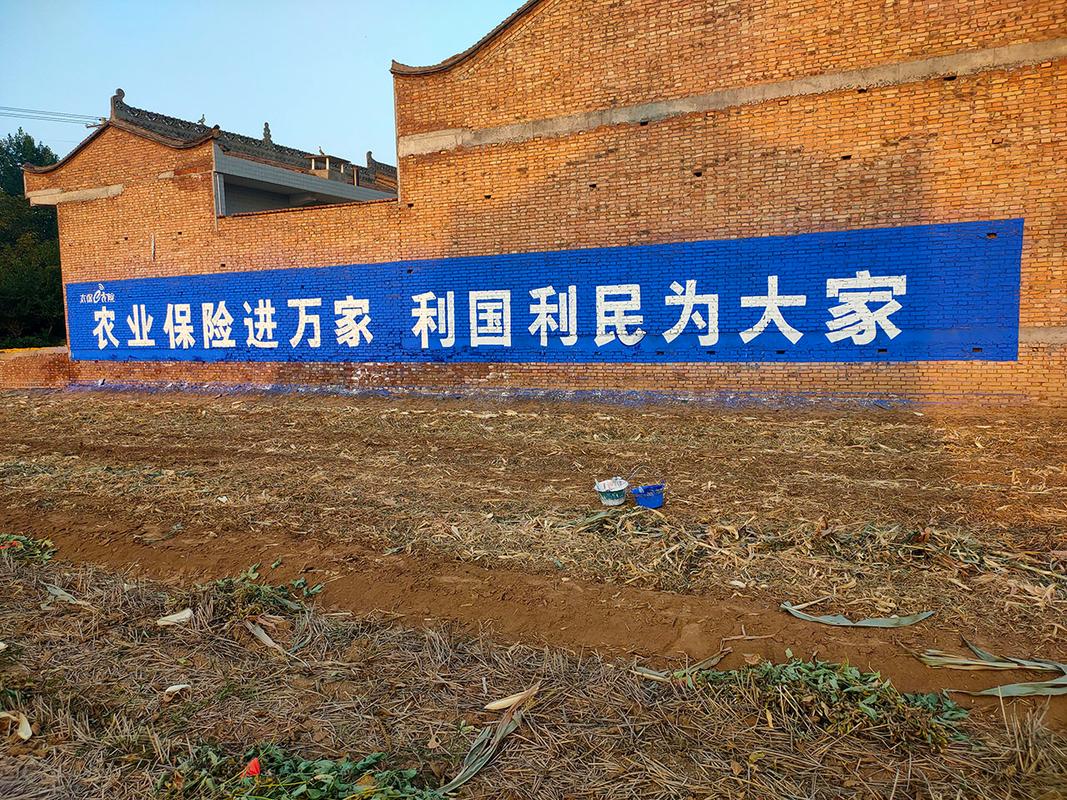 长春墙体广告省钱秘籍大公开 效果实测，千万别错过！